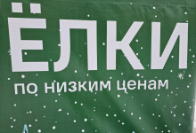 Стоимость на новогодние ёлки в барнауле достигает 200 тысяч рублей